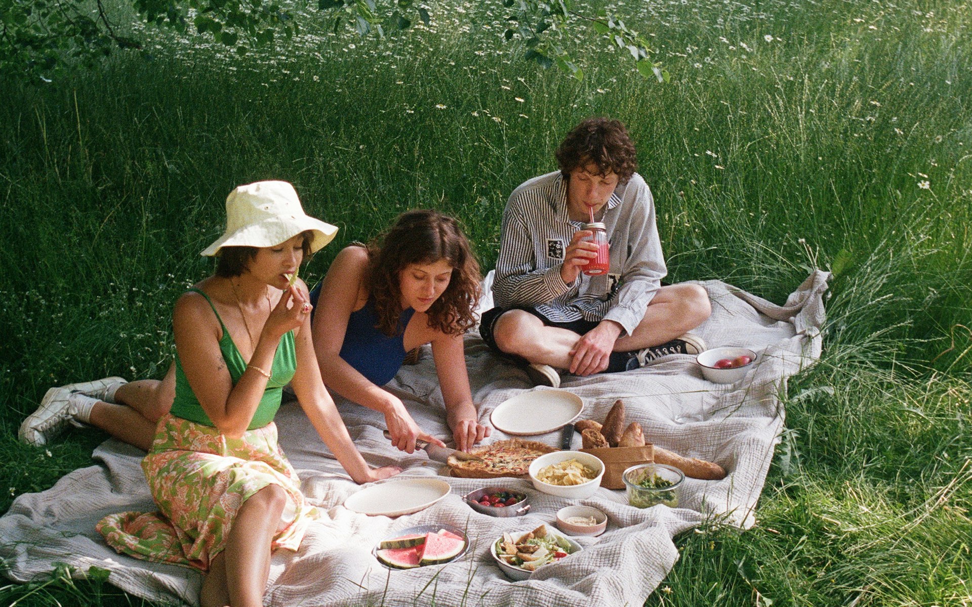 Menschen essen Picknick auf Wiese