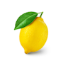Zitrone, unbehandelt